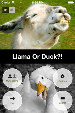 Llama Or Duck?! screenshot 2