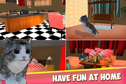 Cute Kitty Cat 3D - Real Pet Simulation Game to Play & Have Fun at Home screenshot 2