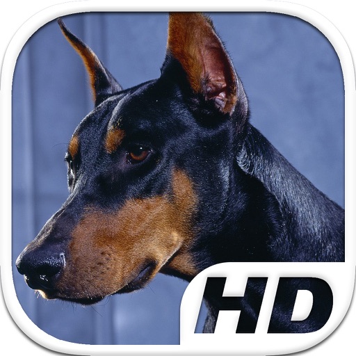 Doberman Simulator HD Animal Life icon