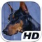 Doberman Simulator HD Animal Life