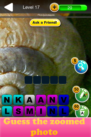 Zoomed Pic Quiz - Guess All The Animals In This Brand New Photo Trivia Game screenshot 2