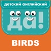 Birds 2+