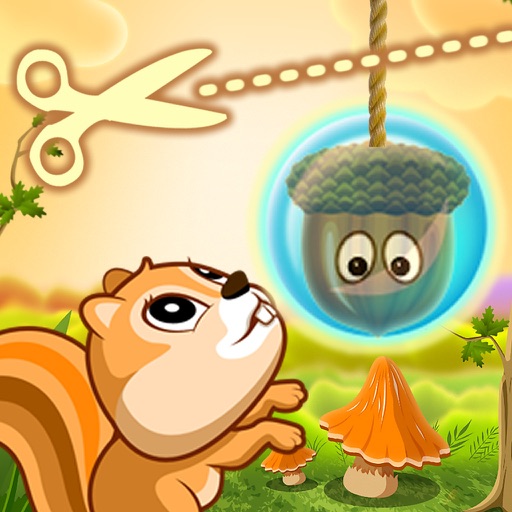 Hungry Squirrel HD iOS App