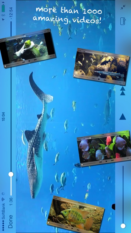 iAquarium