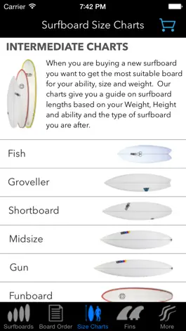Game screenshot iSurfer - Surfboards Guide hack