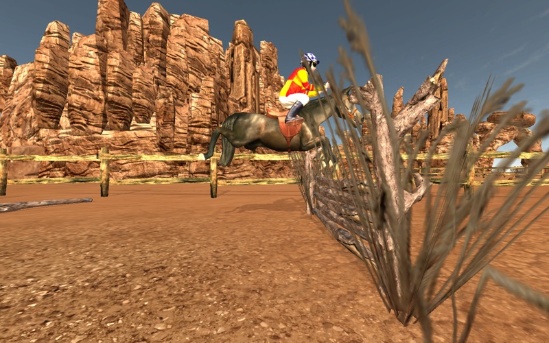 Show Jumping Two Country Race thumbnail 3