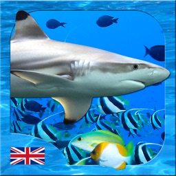 UK Aquariums
