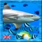Dip your finger into the UK Aquarium App, swish the water around the resting Turtle and test your general aquatic knowledge in the UK Aquarium Quiz (share your completed scores with friends