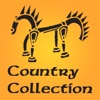 Country Collection: Premium Indian Antique Collection Catalog App