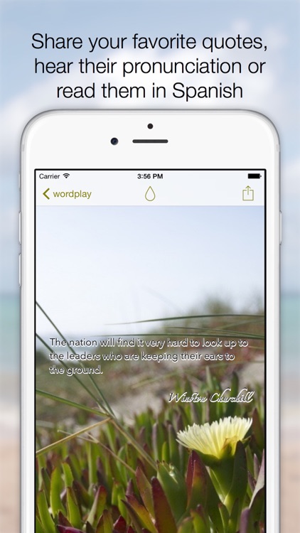 English Spanish Quotes screenshot-3