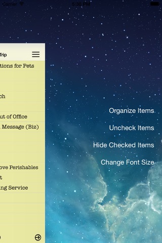 Essential Travel Checklist screenshot 4