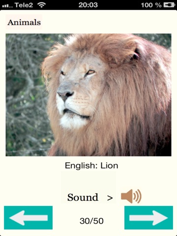 English Words Audio screenshot 3