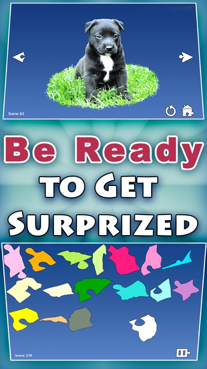 Shape Puzzles Pro - Assemble Brainteaser