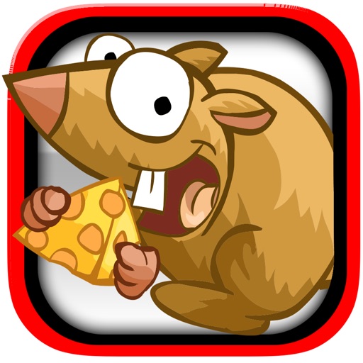 Save The Cheese Mania - New mind challenge speed game Icon