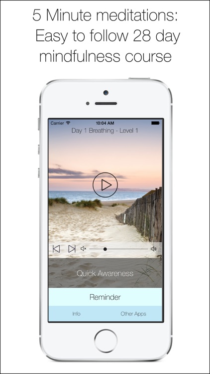 5 Minute Meditations: 28 day mindfulness meditation course for daily relaxation, happiness and stress relief