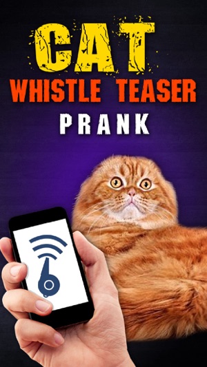 Cat Whistle Teaser Prank(圖3)-速報App