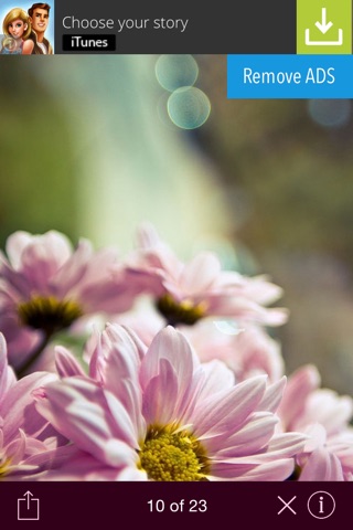 Flower wallpaper for iPhone screenshot 3
