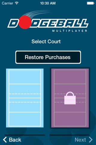 Dodgeball Multiplayer screenshot 3
