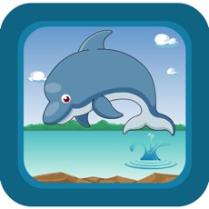 Activities of Dolphin Swim Adventure: Keep the Oceans Safe