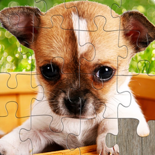 Cute Dog JigSaw Puzzle Game for Kids Free