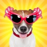 Get Guess the Dog - Free Breed Photo Quiz Game for iOS, iPhone, iPad Aso Report