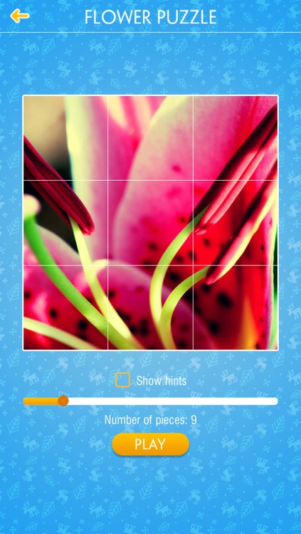 Jigsaw Puzzle - Flower screenshot-4