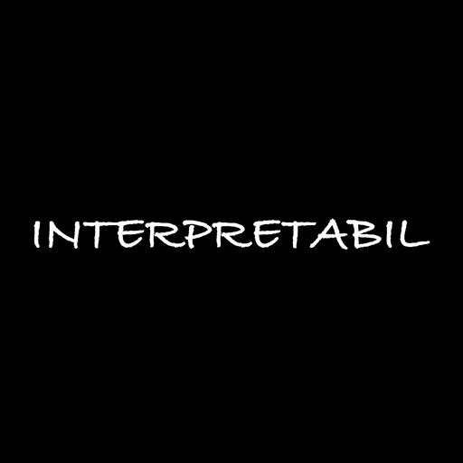 Interpretabil Oficial