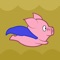 Flying Pig Fun Adventure
