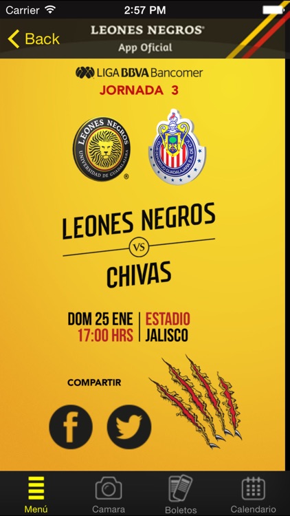 Leones Negros by Leopoldo Morales