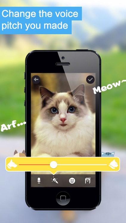 My Pet Can Talk - Make your dog, cat or other pets talking like talking tom, ginger, angela or ben FREE screenshot-3
