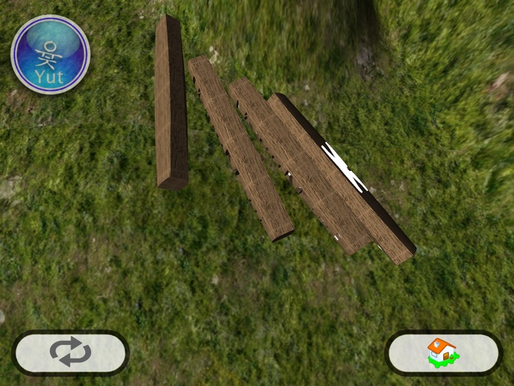 Real 3D Yut Dice HD screenshot-4