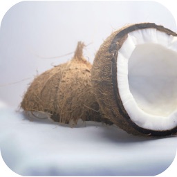Coconut Oil Guide