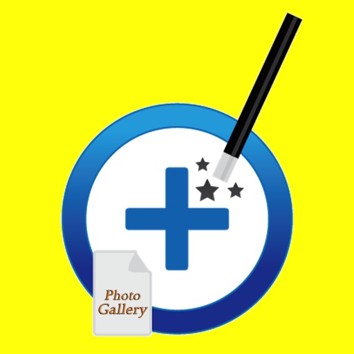 Gallery Video icon