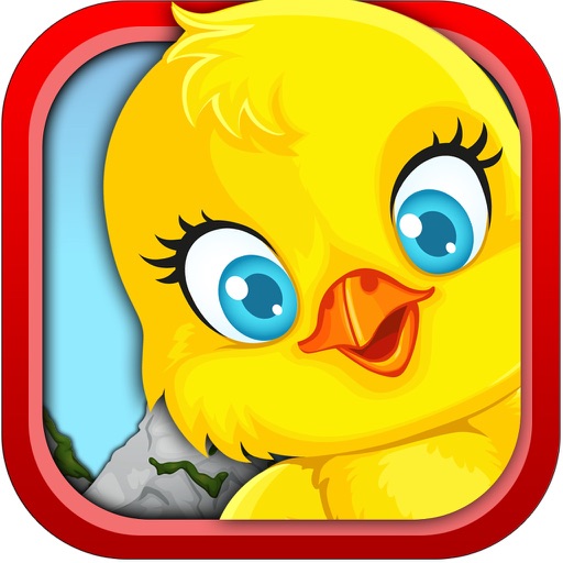 Saving The Little Chicks - Catch Falling Birds iOS App