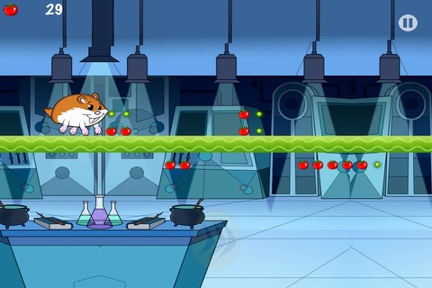 Hammy the Super Pet Hamster Runner screenshot 2