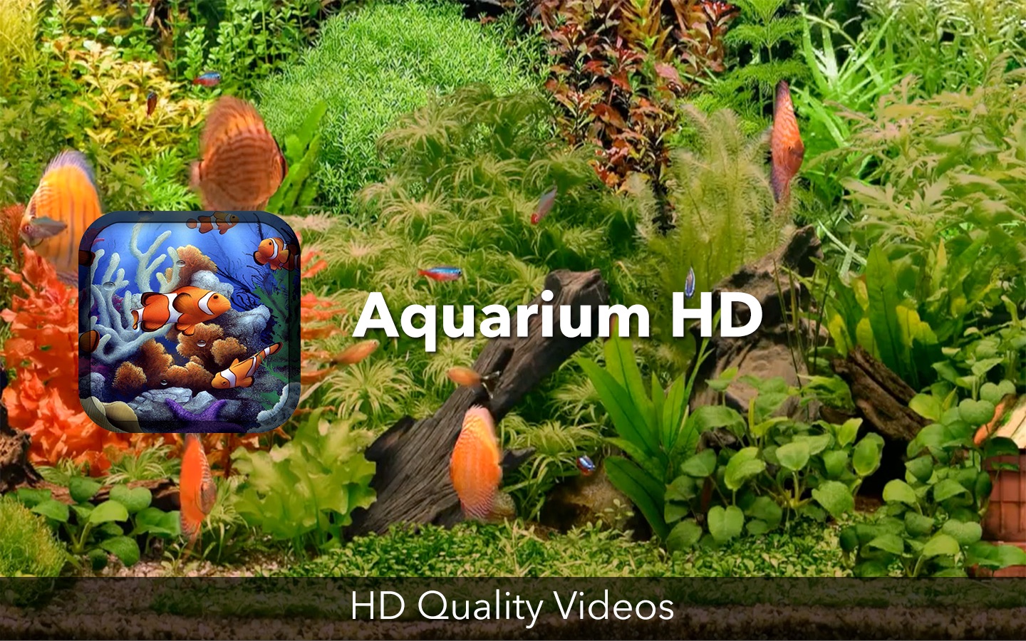 ‎Aquarium HD on the Mac App Store