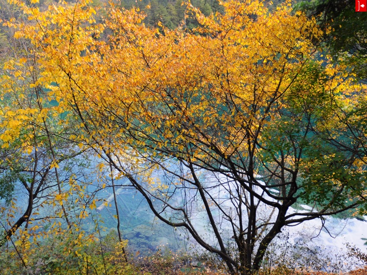 The Miracle of Geology: Jiuzhaigou-Huanglong screenshot-3