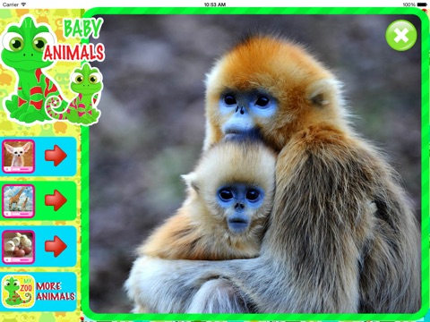 Мамы и Детки - Учим Названия Животных! screenshot 2