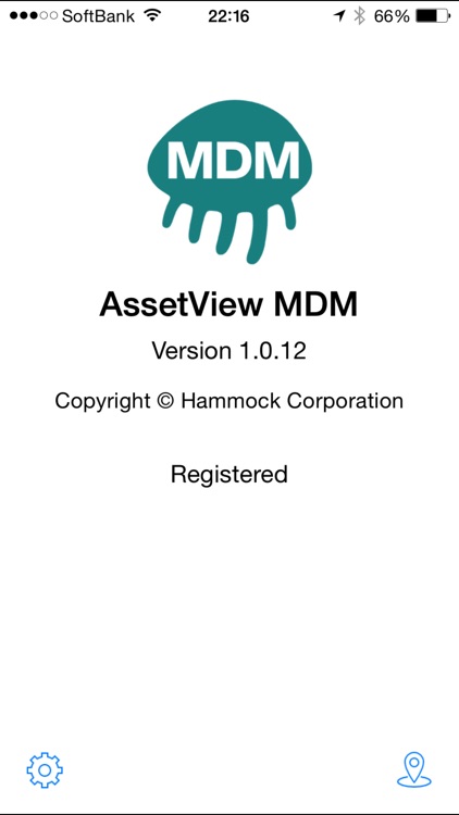 AssetView MDM