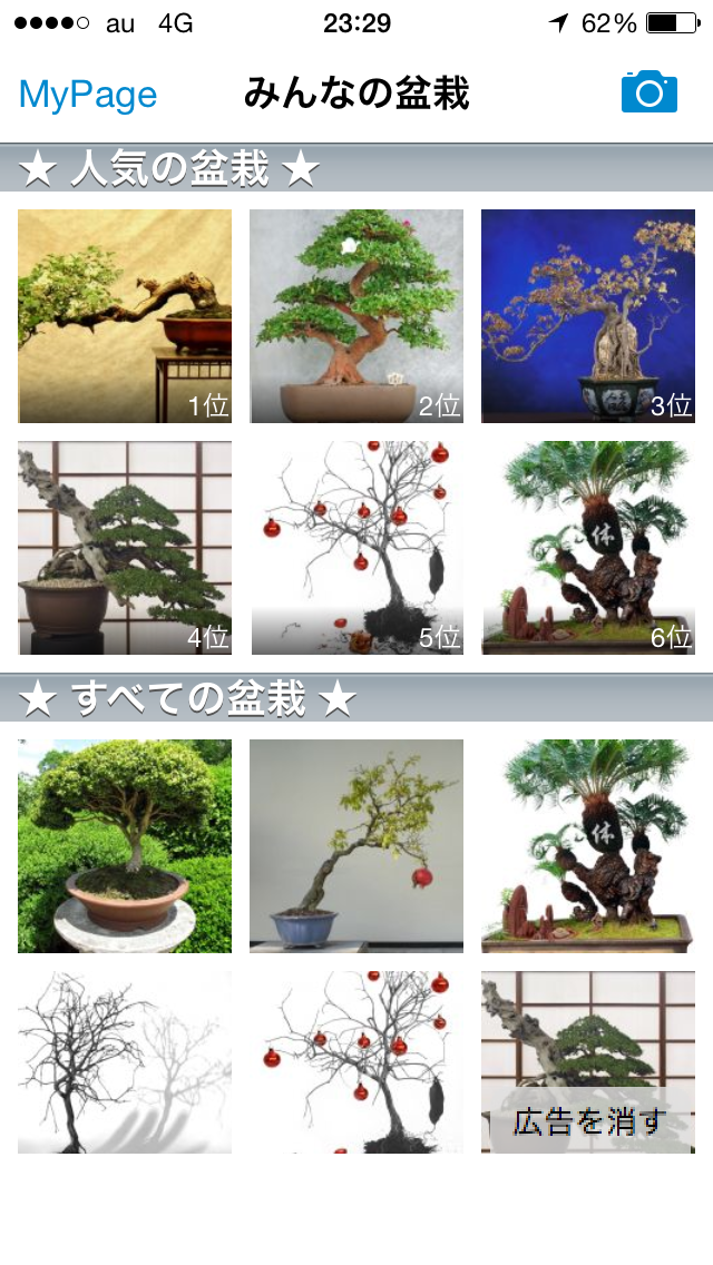 みんなの盆栽【BONSAI World】のおすすめ画像1