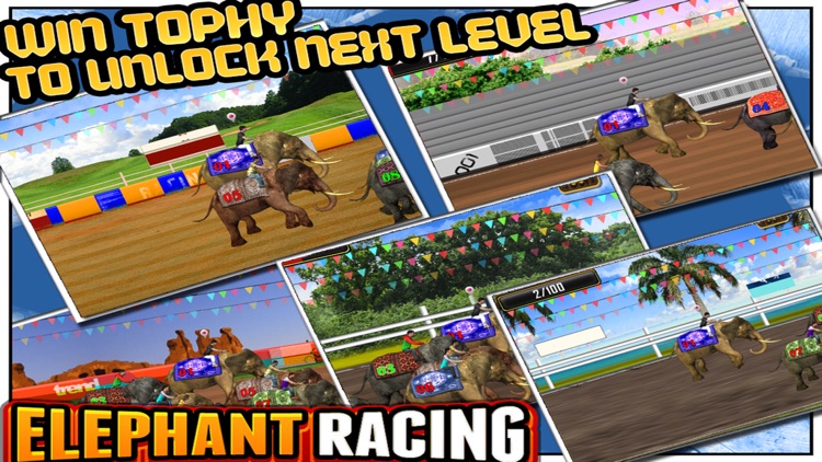 Elephant Racing Simulator screenshot-3