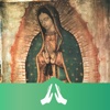 Virgen Guadalupe Divinapp