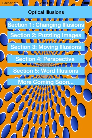 Optical Illusions for Kids screenshot 4