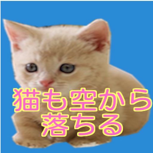 猫も空から落ちる