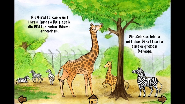 Im Zoo screenshot-3