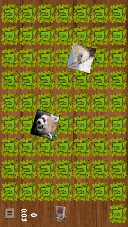 Memory Games with Nuremberg ZOO FREE for preschool children, schoolchildren and adults screenshot-4