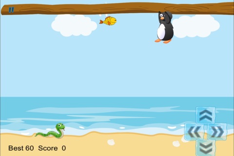 Penguin Beach Danger Dash Blitz screenshot 4