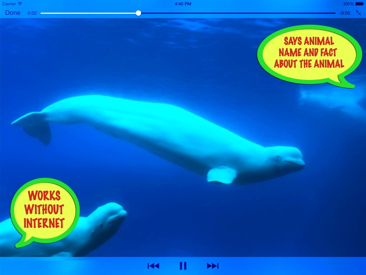 MY ZOO - Learn Animal Names!