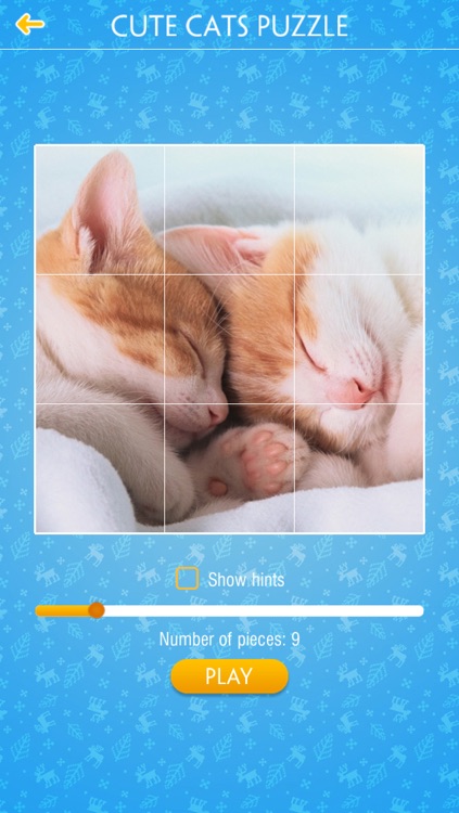 Cute Cats Jigsaw Puzzles