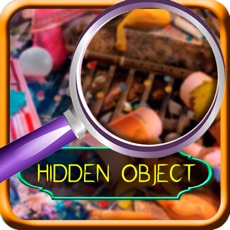 Activities of Hidden Objects : House Mystery